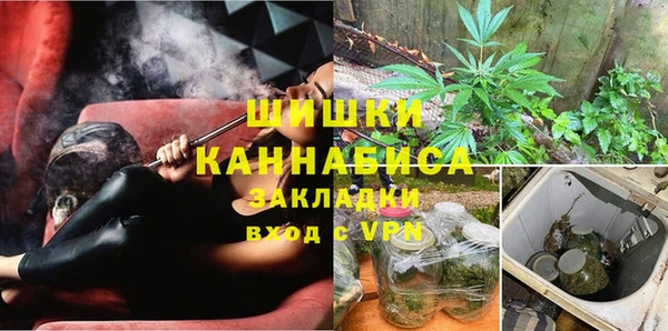 хмурый Верея
