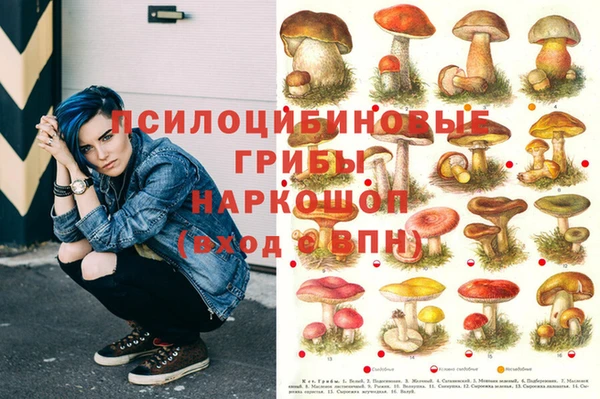 альфа пвп Волосово
