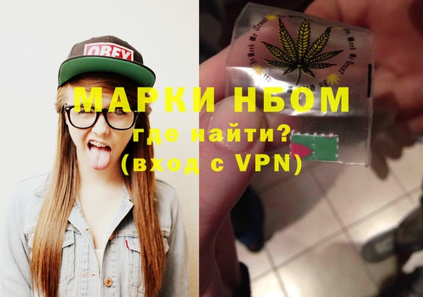 хмурый Верея