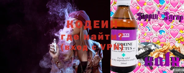 хмурый Верея