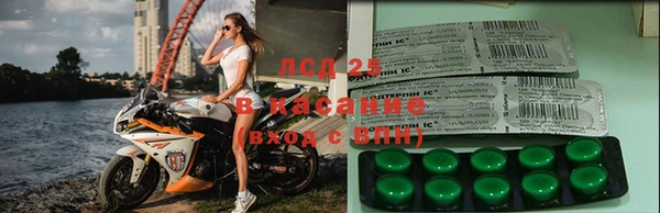 хмурый Верея